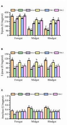 Effects of tributyrin and alanyl-glutamine dipeptide on intestinal health of largemouth bass (Micropterus salmoides) fed with high soybean meal diet